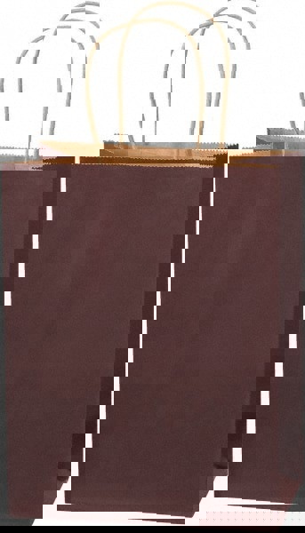 Pack of (250) Kraft Grocery Bags